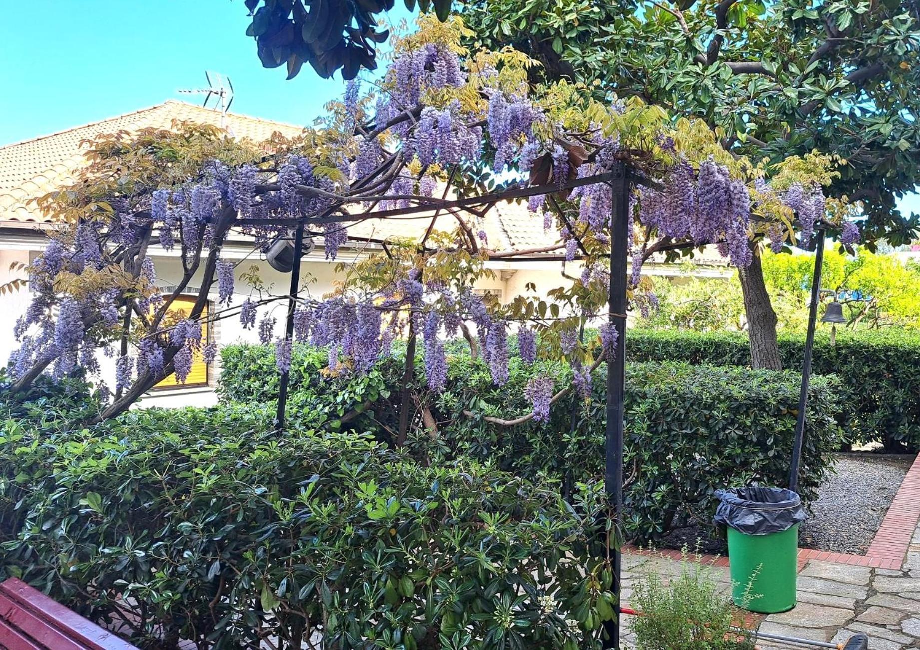 Casa Gazzano Villa Imperia Exteriör bild